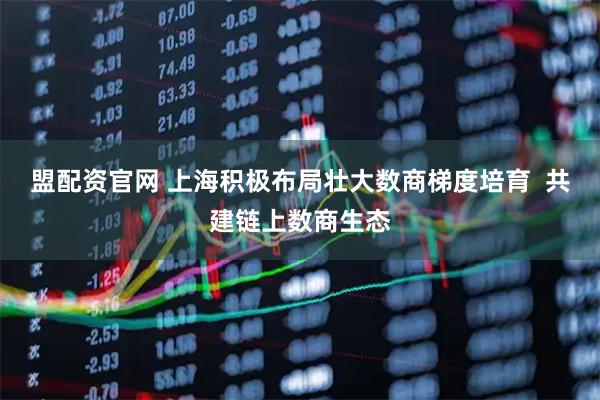 盟配资官网 上海积极布局壮大数商梯度培育  共建链上数商生态