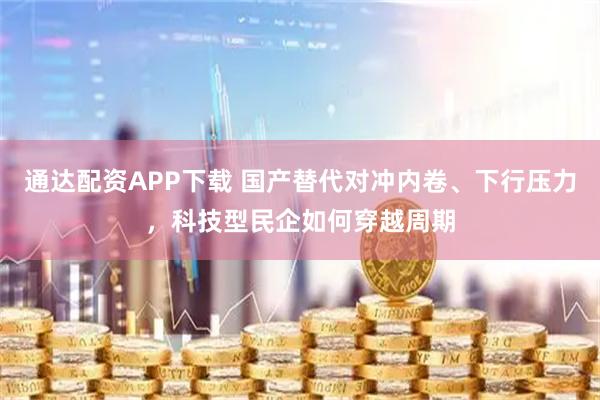 通达配资APP下载 国产替代对冲内卷、下行压力，科技型民企如何穿越周期