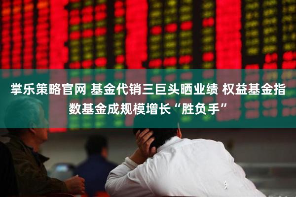 掌乐策略官网 基金代销三巨头晒业绩 权益基金指数基金成规模增长“胜负手”