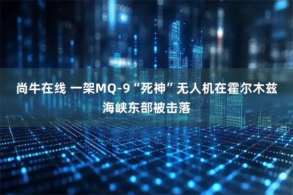 尚牛在线 一架MQ-9“死神”无人机在霍尔木兹海峡东部被击落