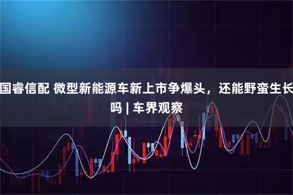 国睿信配 微型新能源车新上市争爆头，还能野蛮生长吗 | 车界观察