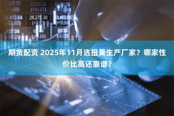 期货配资 2025年11月选扭簧生产厂家？哪家性价比高还靠谱？