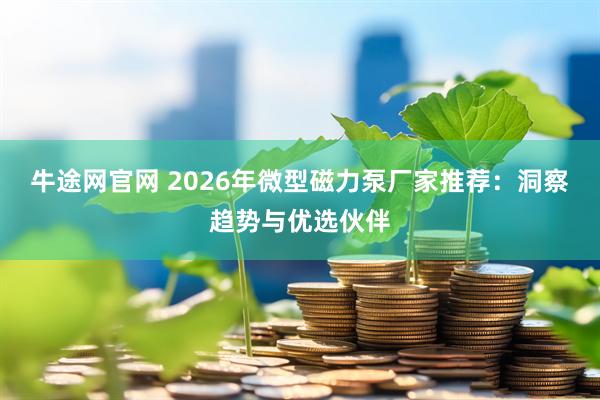 牛途网官网 2026年微型磁力泵厂家推荐：洞察趋势与优选伙伴