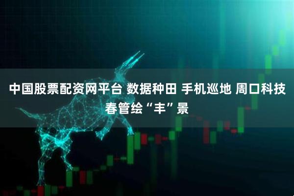 中国股票配资网平台 数据种田 手机巡地 周口科技春管绘“丰”景